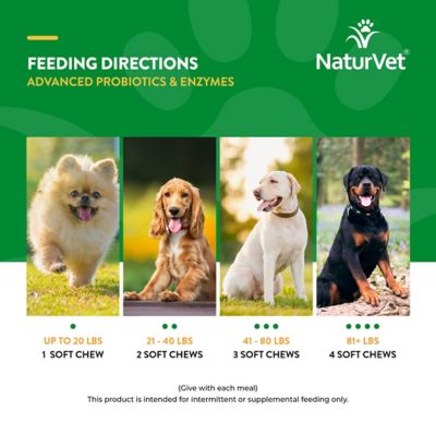 Image showing 6 th NaturVet Advanced Probiotics and Enzymes Digestive Supplement Tablets for Dogs, 2.4g, 120 ct.