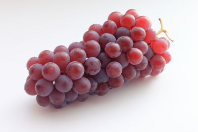 Image showing  1.5 gal. Potted Delaware Grape Plant in #2 Pot