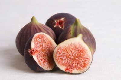 Image showing  3.74 gal. Potted Texas Everbearing Fig Tree in #5 Pot