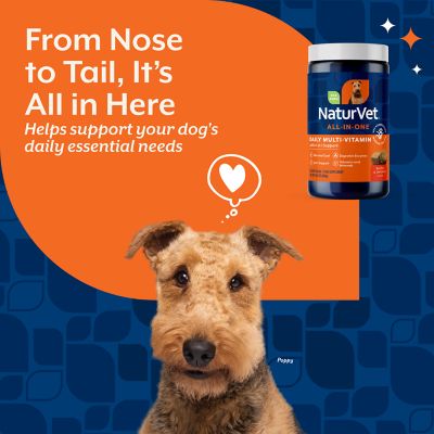 Image showing  All-in-One 4-in-1 Health and Wellness Soft Chewable Supplements for Dogs, 120 ct.