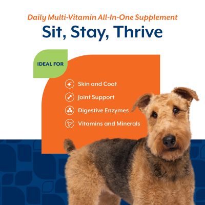 Image showing  All-in-One 4-in-1 Health and Wellness Soft Chewable Supplements for Dogs, 120 ct.