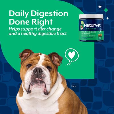 Image showing  Digestive Enzymes Plus Probiotic Soft Chew Digestive Supplement for Dogs, 2.4g, 120 ct.