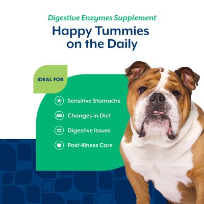 Image showing  Digestive Enzymes Plus Probiotic Soft Chew Digestive Supplement for Dogs, 2.4g, 120 ct.