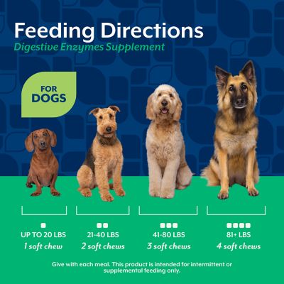 Image showing 5 th NaturVet Digestive Enzymes Plus Probiotic Soft Chew Digestive Supplement for Dogs, 2.4g, 120 ct.