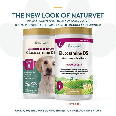 Image showing  Glucosamine DS Level-1 Chewable Hip and Joint Supplement Tablets for Dogs, 3 g, 240 ct.