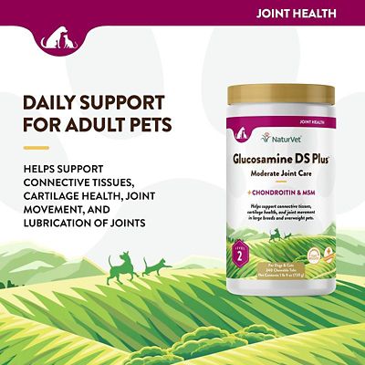 Image showing  Glucosamine DS Plus Level-2 Chewable Hip and Joint Supplement Tablets for Dogs, 3g, 240 ct.