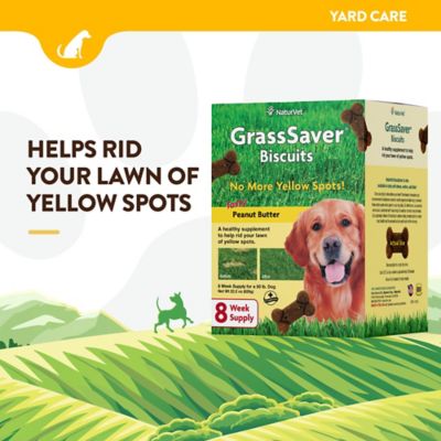 Image showing  GrassSaver Tasty Urinary Health Supplement Biscuits for Dogs, Peanut Butter Flavor, 22.2 oz, 46-Pack