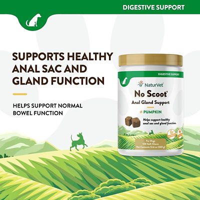 Image showing  No Scoot Soft Chews for Dogs