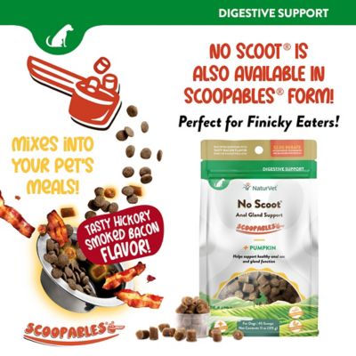 Image showing 6 th NaturVet No Scoot Soft Chews for Dogs