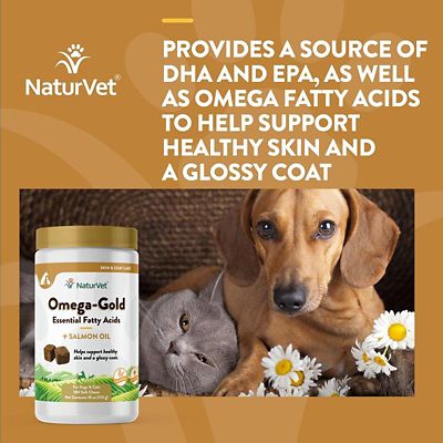 Image showing  Omega Gold Plus Salmon Oil Supplement Soft Chews for Dogs