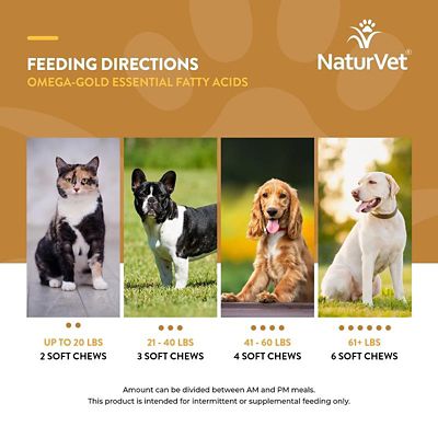 Image showing  Omega Gold Plus Salmon Oil Supplement Soft Chews for Dogs