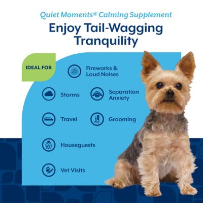 Image showing  Quiet Moments Melatonin Soft Chewable Calming Supplement Treats for Dogs, 0.9 lb., 180 ct.