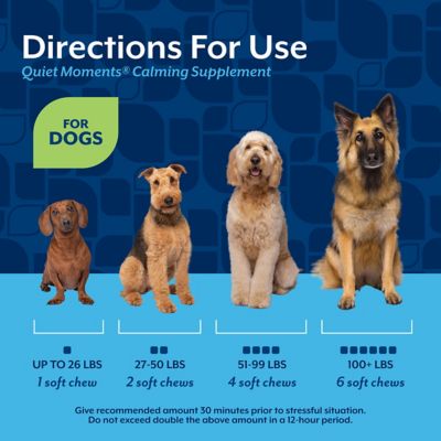 Image showing 5 th NaturVet Quiet Moments Melatonin Soft Chewable Calming Supplement Treats for Dogs, 0.9 lb., 180 ct.