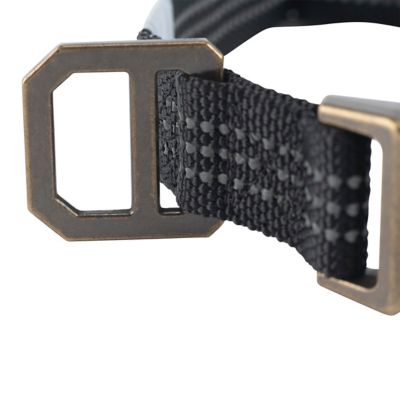 Image showing  Adjustable Tradesman Dog Collar