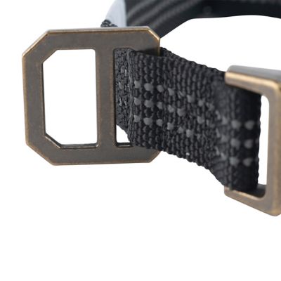 Image showing  Adjustable Tradesman Dog Collar