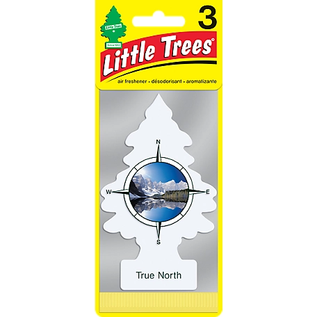 Little Trees True North Car Air Fresheners, 3-Pack