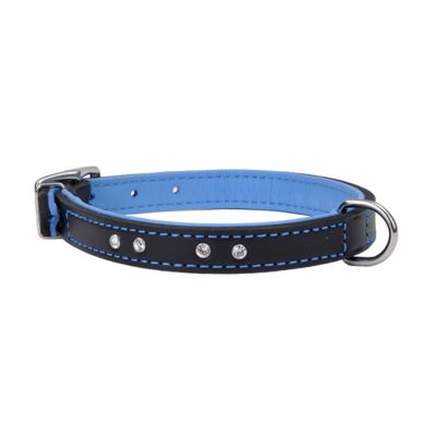 tsc dog collars