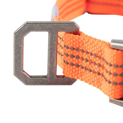 Image showing  Adjustable Tradesman Dog Collar