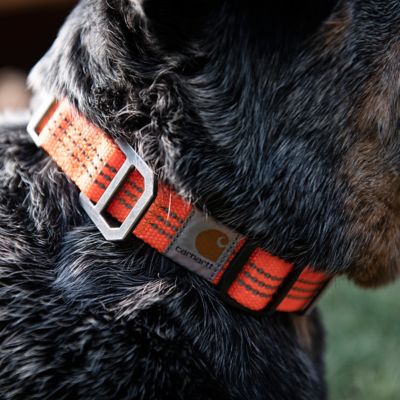 Image showing  Adjustable Tradesman Dog Collar