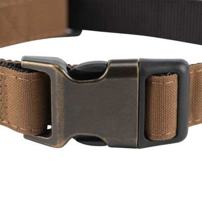 Image showing  Adjustable Nylon Duck Dog Collar