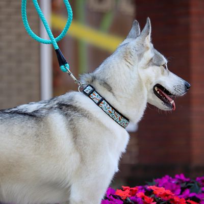 Image showing  Rope Snap Dog Leash, 6 ft.