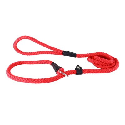 Image showing  Adjustable Rope Slip Dog Leash