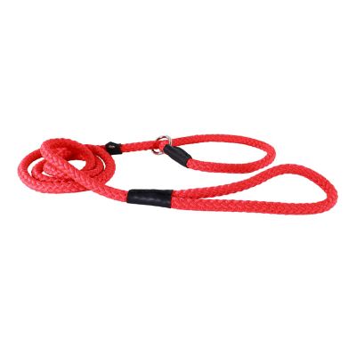 Image showing  Adjustable Rope Slip Dog Leash