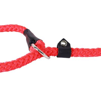 Image showing  Adjustable Rope Slip Dog Leash