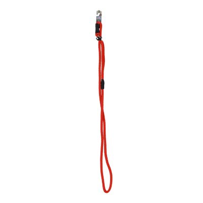 Image showing  Adjustable Rope Slip Dog Leash