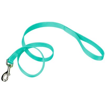 Retriever Single-Ply Dog Leash at Tractor Supply Co.