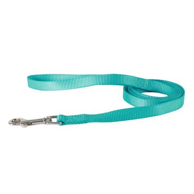 Image showing  Single-Ply Nylon Dog Leash, 6 ft.