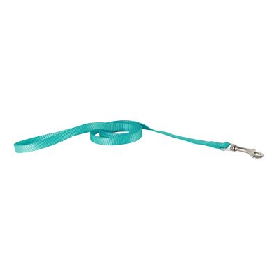 Image showing  Single-Ply Nylon Dog Leash, 6 ft.