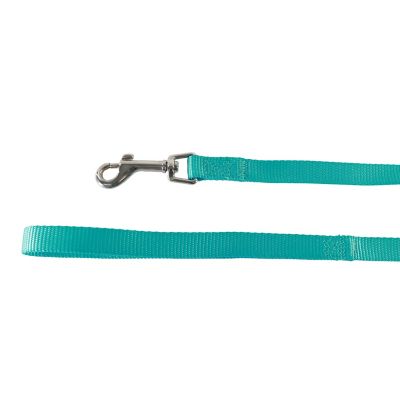 Image showing  Single-Ply Nylon Dog Leash, 6 ft.