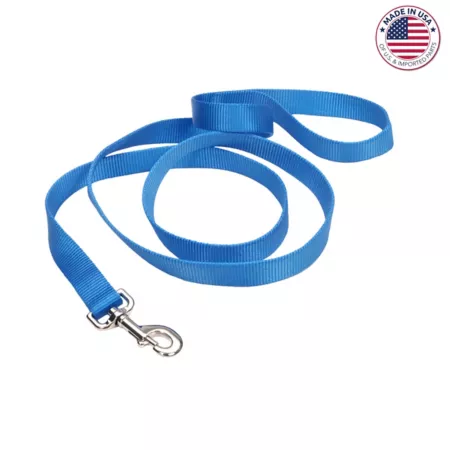 Single-Ply Nylon Retriever Dog Leash Blue Lagoon Dog Basic Leashes