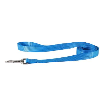 Image showing  Single-Ply Nylon Dog Leash, Blue Lagoon