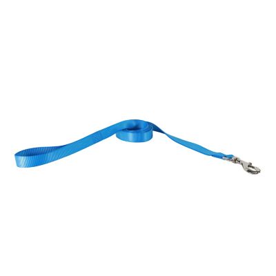 Image showing  Single-Ply Nylon Dog Leash, Blue Lagoon