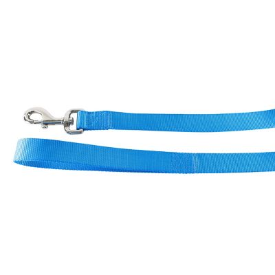 Image showing  Single-Ply Nylon Dog Leash, Blue Lagoon