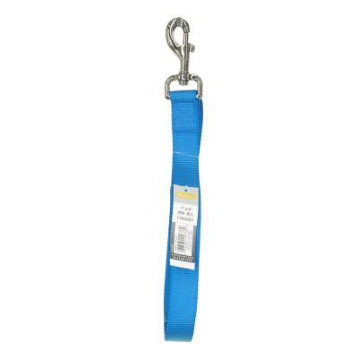 Image showing  Single-Ply Nylon Dog Leash, Blue Lagoon