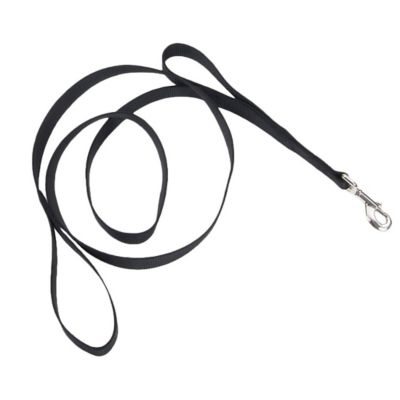 Retriever Double Handle Snap Closure Nylon Dog Leash