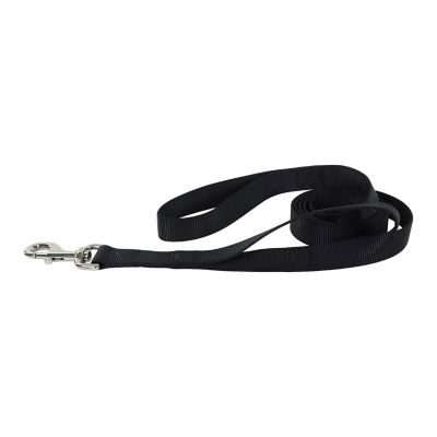 Image showing  Double Handle Snap Closure Nylon Dog Leash