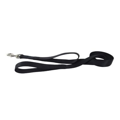 Image showing  Double Handle Snap Closure Nylon Dog Leash