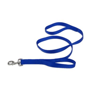 Retriever Double Handle Snap Closure Nylon Dog Leash