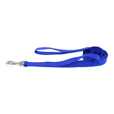 Image showing  Double Handle Snap Closure Nylon Dog Leash