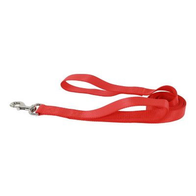 Image showing  Double Handle Snap Closure Nylon Dog Leash, 6 ft., Red