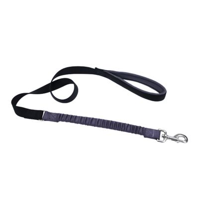 Retriever Bungee Dog Leash, 1 in. x 4 ft., Black/Grey