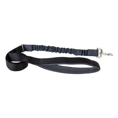 Image showing  Bungee Dog Leash, 4 ft., Black/Gray
