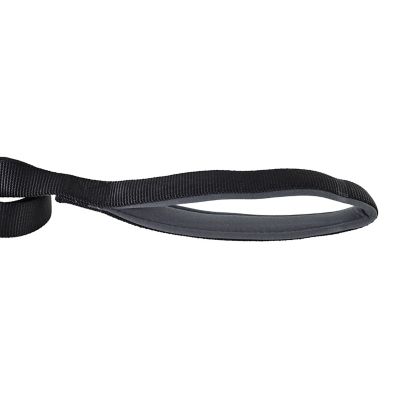 Image showing  Bungee Dog Leash, 4 ft., Black/Gray
