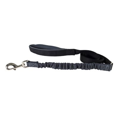Image showing  Bungee Dog Leash, 4 ft., Black/Gray