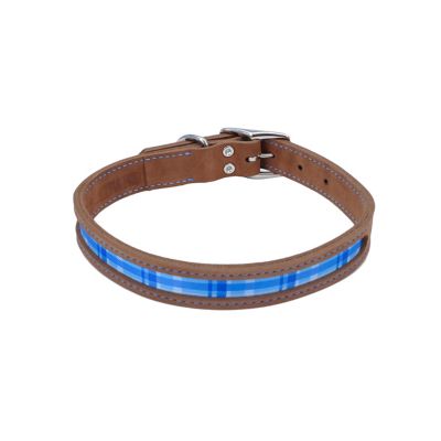 Retriever Rustic Leather Dog Collar