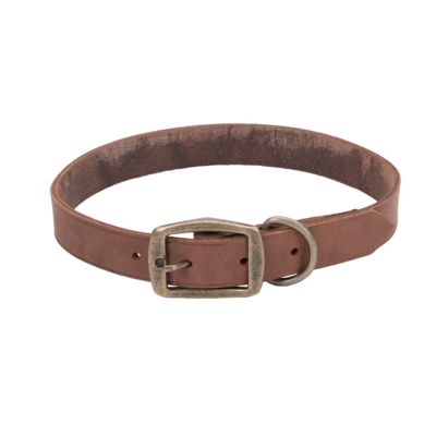 Retriever Rustic Leather Town Dog Collar